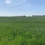 Family In Apartment *