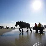 Apartment Family In *