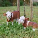Family In Nieuwpoort