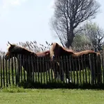 Apartment Family In *