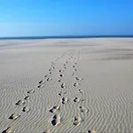 Family In Apartment *