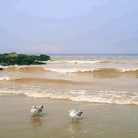 Family In * Nieuwpoort