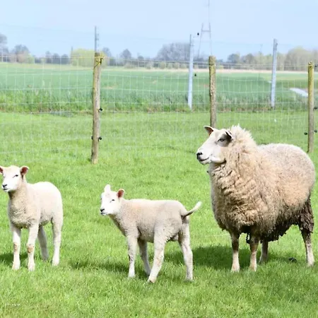 Lejlighed Family In Nieuwpoort